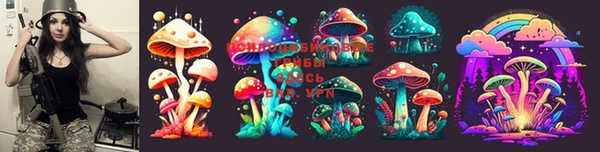 дмт Каменногорск