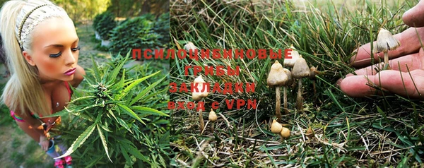 шишки Каменск-Шахтинский