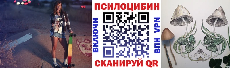 Купить где  Кумертау  Псилоцибиновые грибы GOLDEN TEACHER 